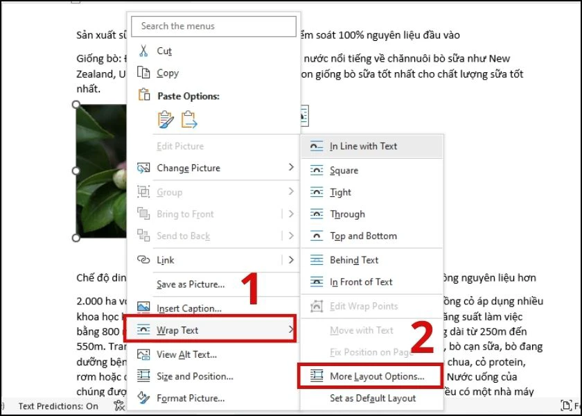 cách chèn thêm hình vào văn bản trong word mà không bị nhảy chữ
