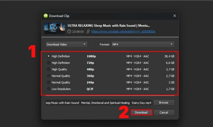 Sử dụng phần mềm 4K Video Downloader để tải video 