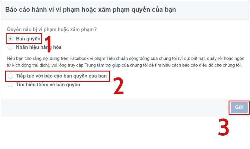 Chọn vào báo cáo bản quyền