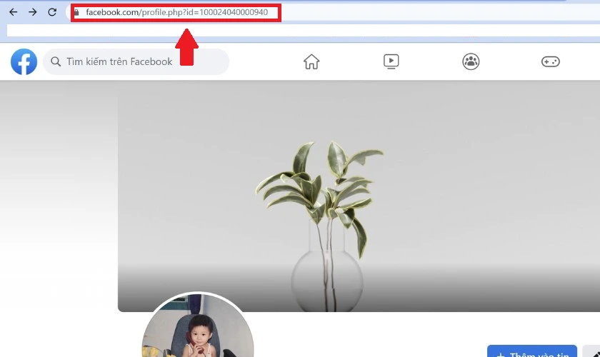 Đoạn ID Facebook là gì, hiển thị ở đâu