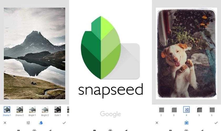 Snapseed - Phần mềm chỉnh sửa ảnh trên iPhone miễn phí