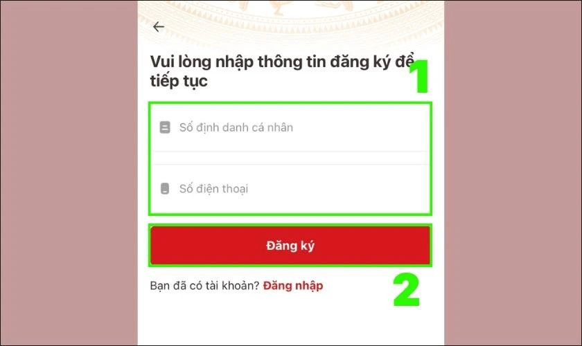Cách nhập thông tin đăng ký trên VNeID là gì