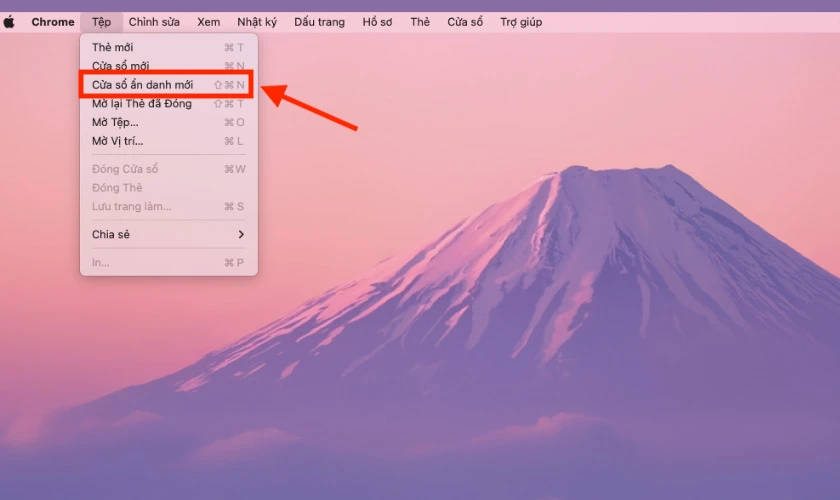 Chọn New Incognito Windows trên giao diện máy Macbook
