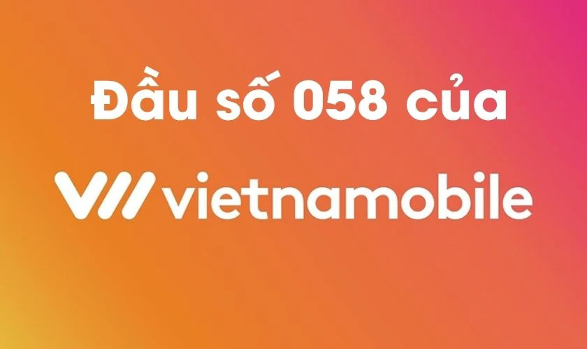 058 là mạng gì?