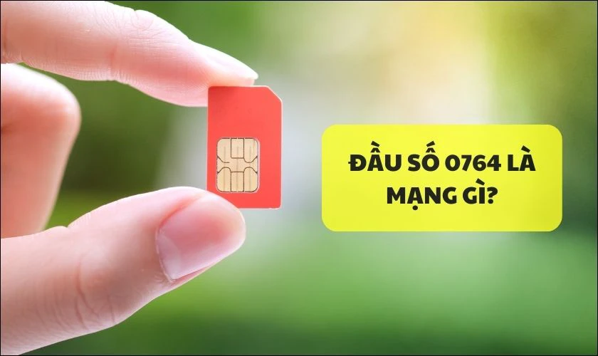 0764 l&agrave; mạng g&igrave;?