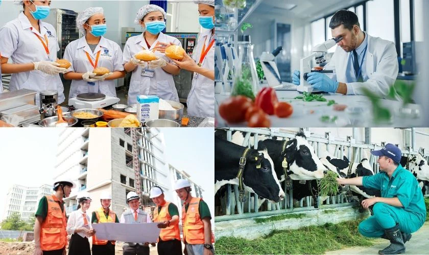 16 điểm khối D07 nên chọn ngành nào?