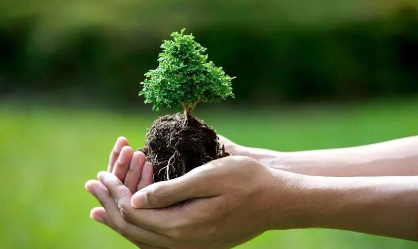 Ngành Khoa học đất là 17 ngành học được miễn học phí
