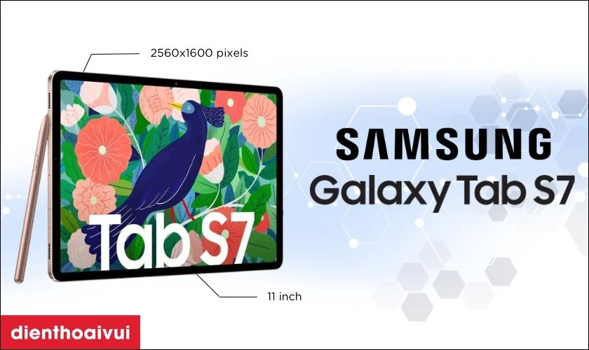 M&agrave;n h&igrave;nh Samsung Tab S7 bao nhi&ecirc;u inch