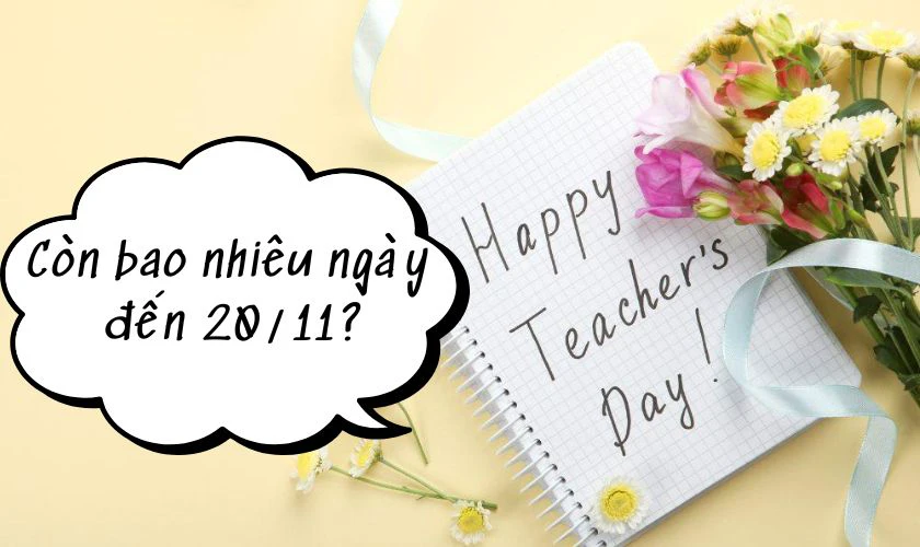 Ngày 20/11 có phải là ngày lễ quốc tế không?