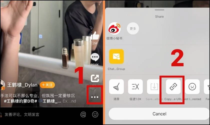 Chọn dấu 3 chấm và bấm vào phần Copy URL