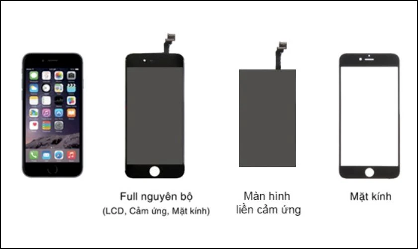 Phân biệt thay ép kính và thay cảm ứng
