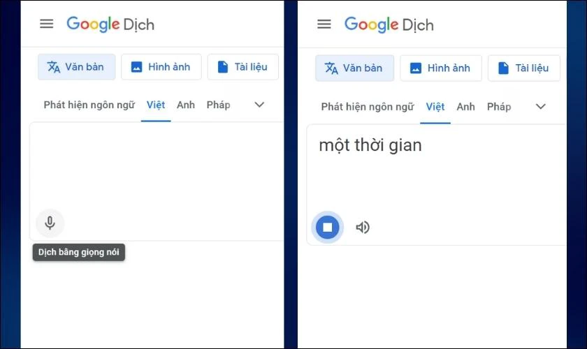 Bắt đầu nhập văn bản muốn chuyển thành giọng nói trên Google dịch