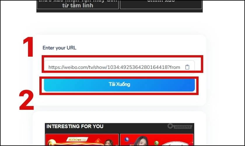 Ddán vào ô Enter your URL và nhấn tải xuống