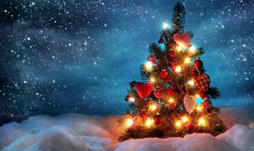 Ph&ocirc;ng nền c&acirc;y th&ocirc;ng Noel lấp l&aacute;nh