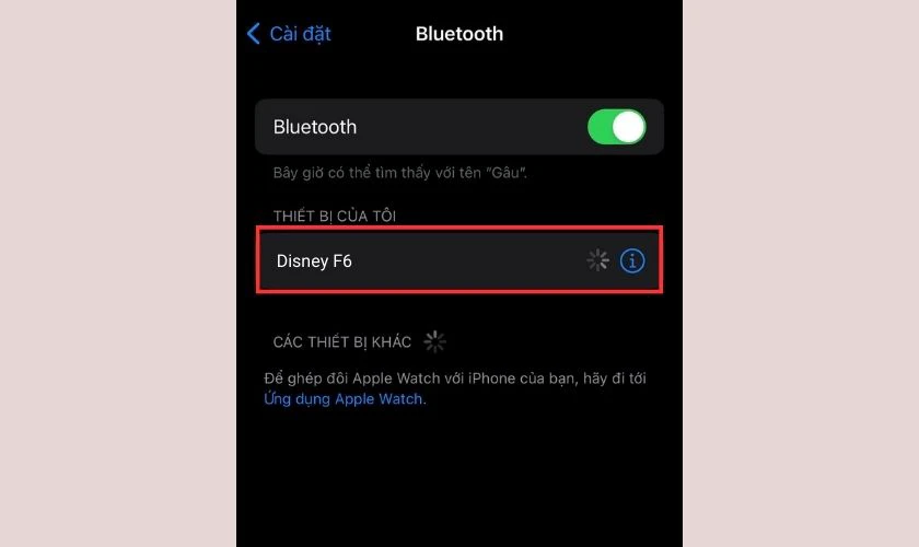Dung lượng pin l&agrave; 300mAh 