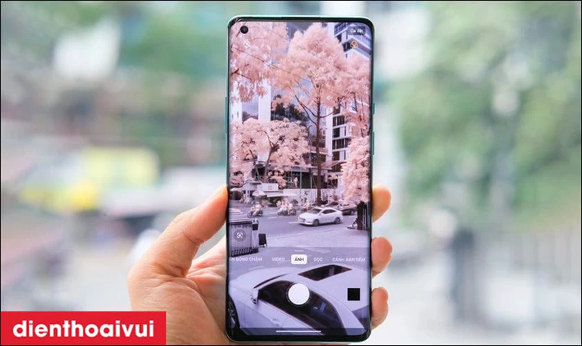 Chế độ filter màu Photochrom