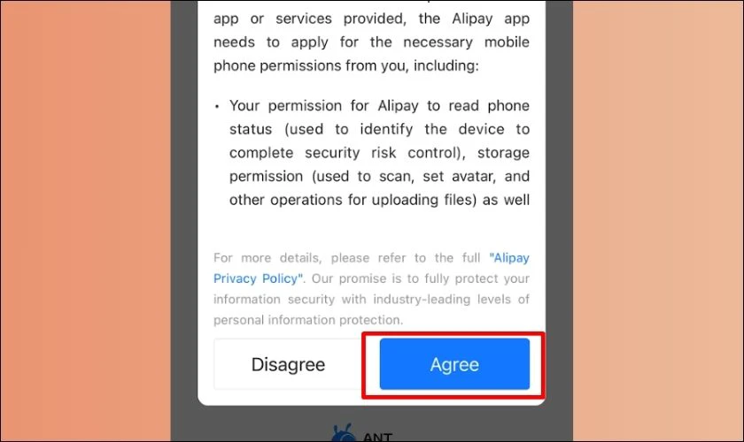 Mở app Alipay v&agrave; nhấn Agree để đồng &yacute; với c&aacute;c điều khoản sử dụng