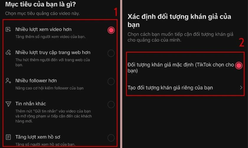 Chọn mục đ&iacute;ch quảng c&aacute;o ph&ugrave; hợp, nhấn Tiếp, x&aacute;c định đối tượng người xem v&agrave; chọn Tiếp