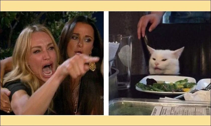 Meme 2 người cô gái và con mèo