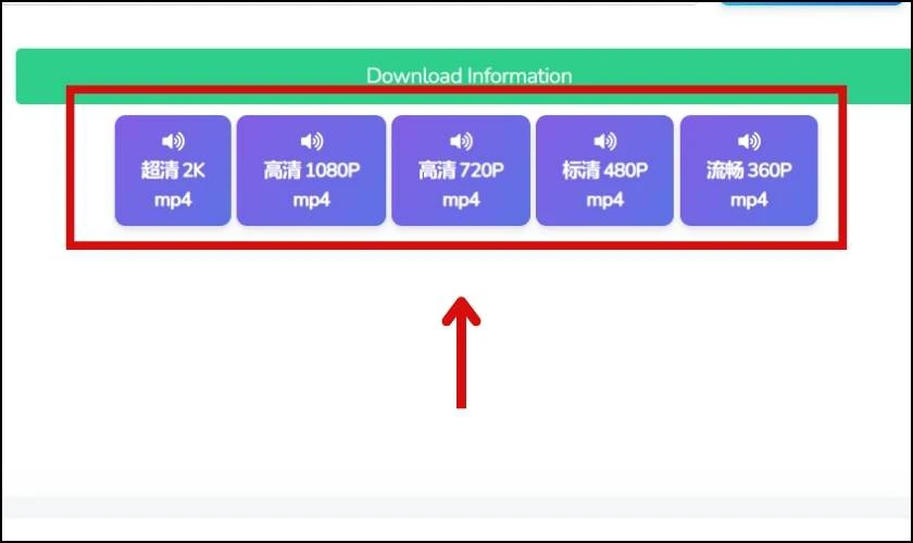 Web hiển thị các chế độ để tải xuống