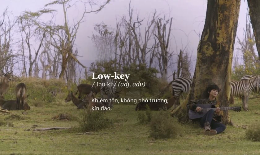 Nguồn gốc ph&aacute;t triển từ Lowkey l&agrave; g&igrave;?
