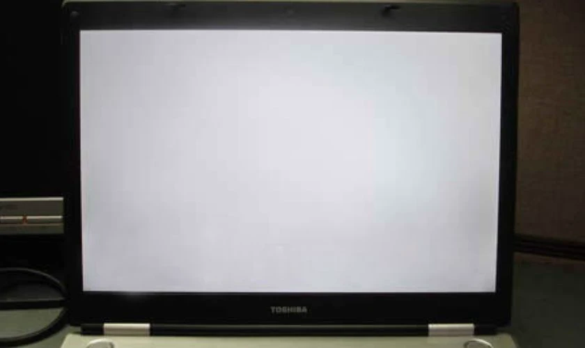 Laptop bị trắng cả màn hình do hỏng mainboard