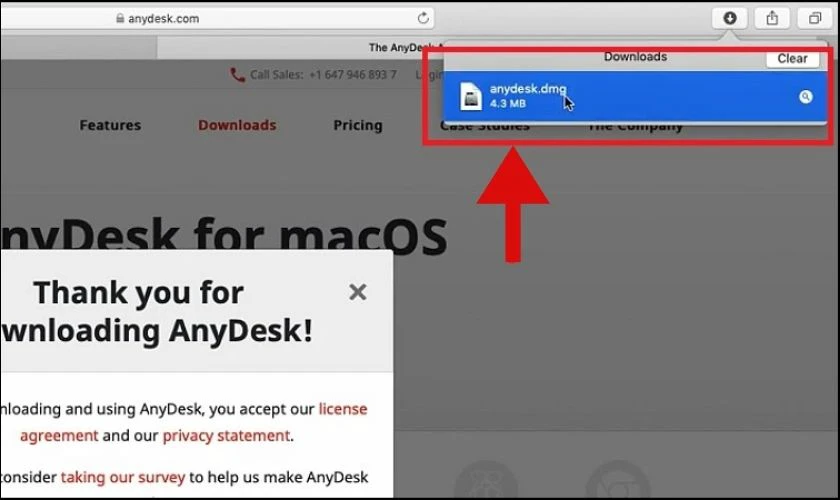 Click file AnyDesk vào để khởi động phần mềm
