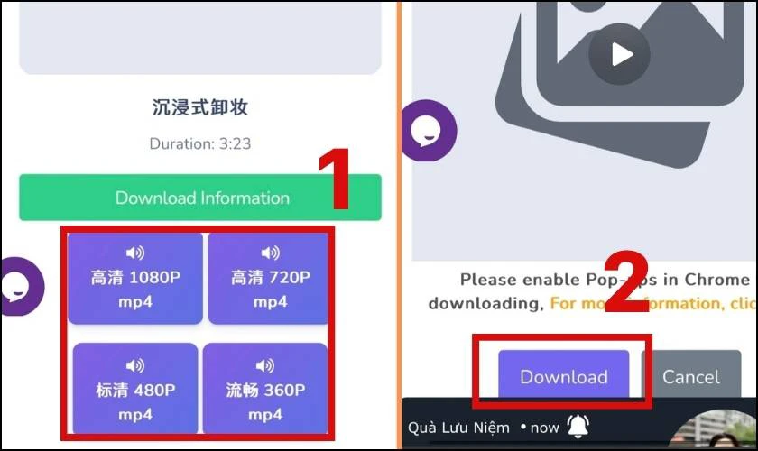 Chọn độ phân giải phù hợp nhất và nhấn Download