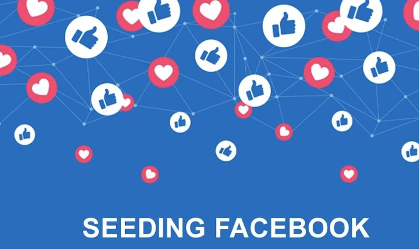 Facebook: Đ&acirc;y l&agrave; k&ecirc;nh Seeding được sử dụng phổ biến nhất hiện nay