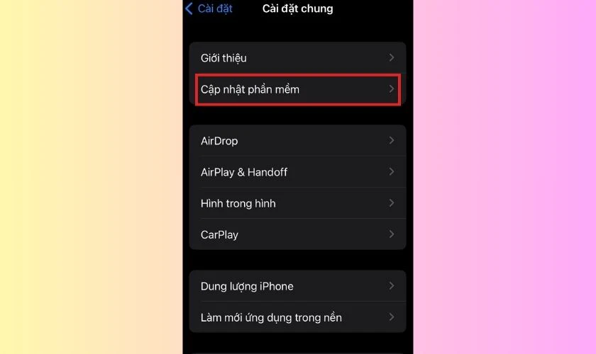 Chọn v&agrave;o mục Cập nhật phần mềm 