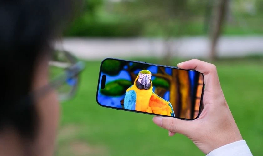 Tiến trình sản xuất và công nghệ đóng gói
