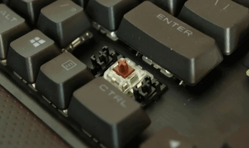 Brown switch b&agrave;n ph&iacute;m cơ l&agrave; g&igrave;
