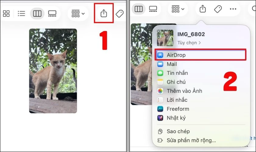 Cách bắn AirDrop trên Mac
