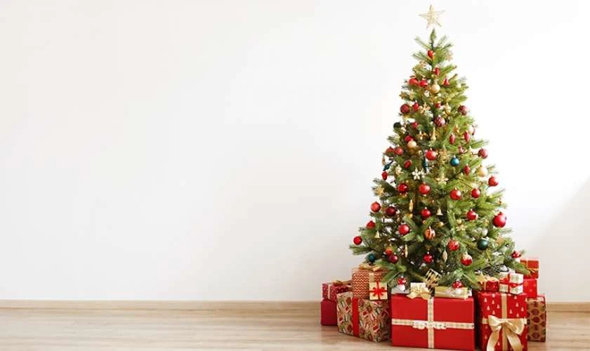 Ảnh bìa với hình ảnh cây thông và quà tặng