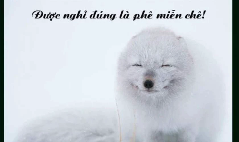 Ảnh chế nghỉ lễ 30/4 1/5 vui