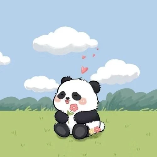Avatar gấu cute, đ&aacute;ng y&ecirc;u