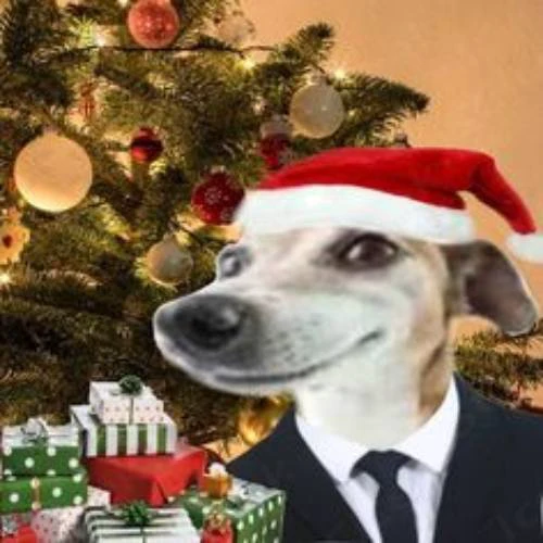 Avatar Noel hình chó, mèo vui nhộn