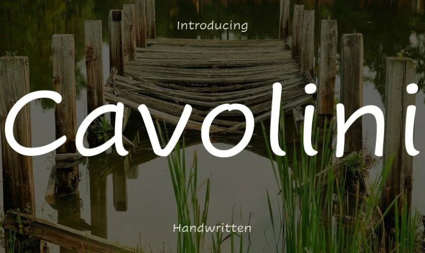 Cavolini Việt hóa