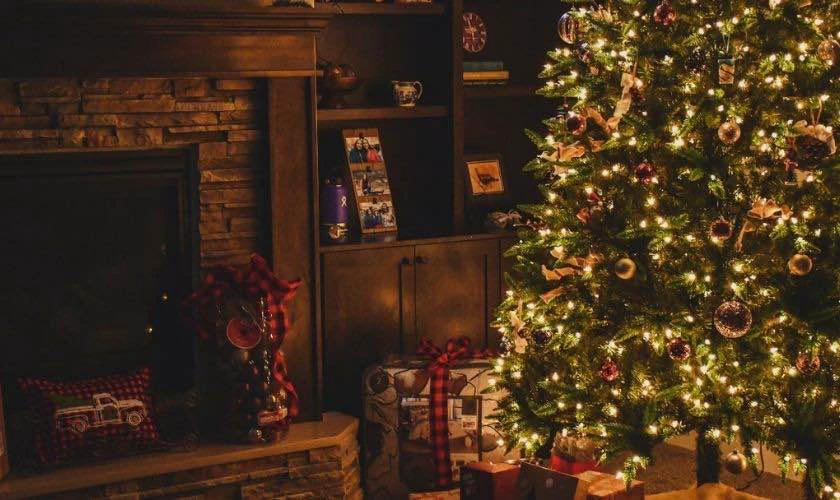 Background cây thông Noel ấn tượng