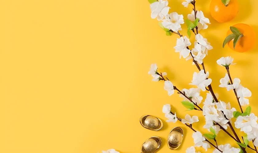 Background ngày Tết màu vàng