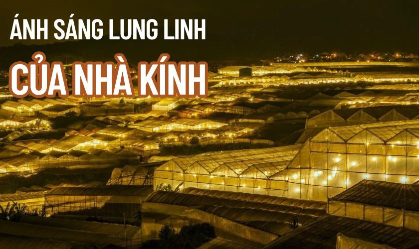 Đà Lạt có bắn pháo hoa 30/4 không?