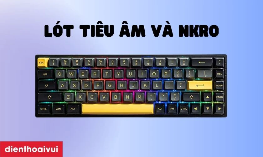 L&oacute;t ti&ecirc;u &acirc;m v&agrave; hỗ trợ NKRO