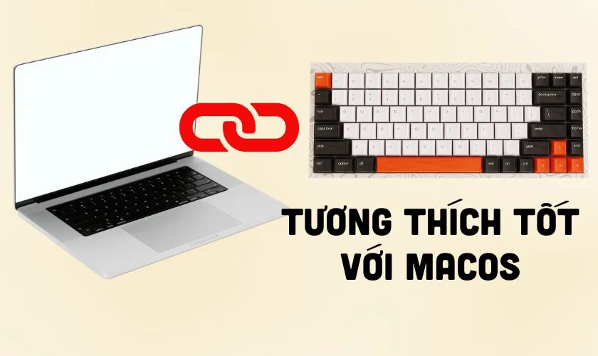 Tương thích tốt với macOS