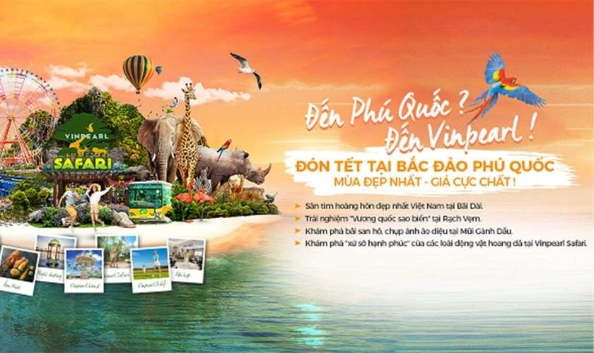 Banner du lịch đẹp HD