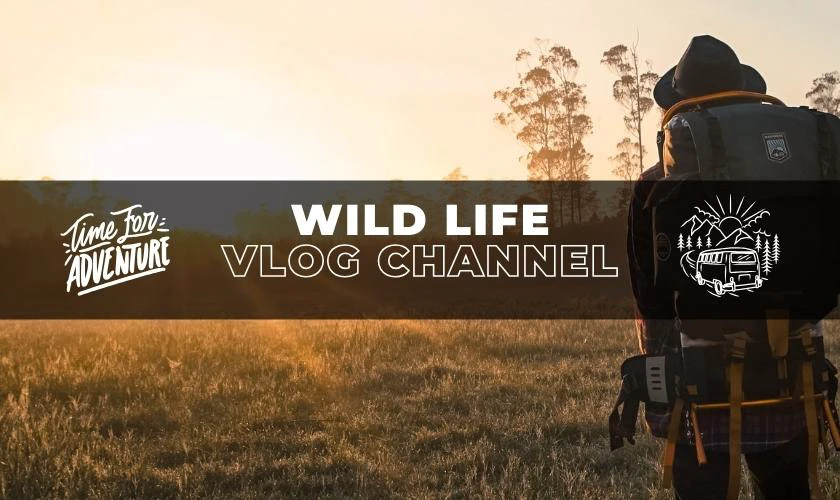 Banner Youtube hấp dẫn