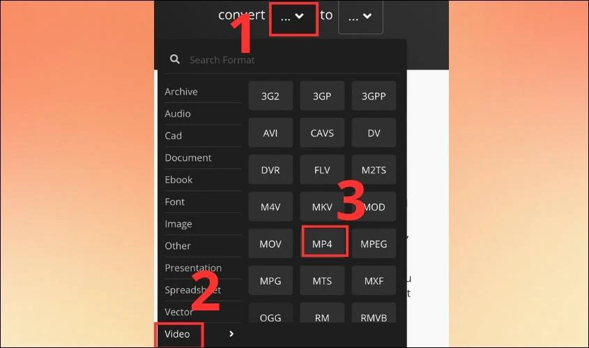 Nhấn vào ô Convert chọn video và ấn vào MP4