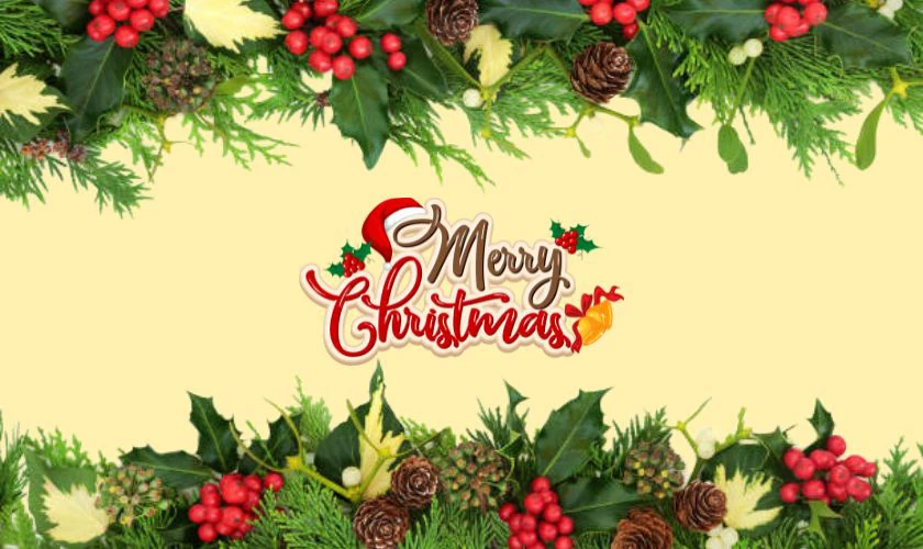 Cây tầm gửi và cây ô rô