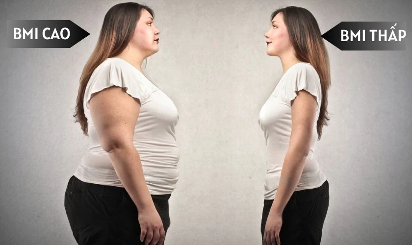 Chỉ số BMI l&agrave; g&igrave;?