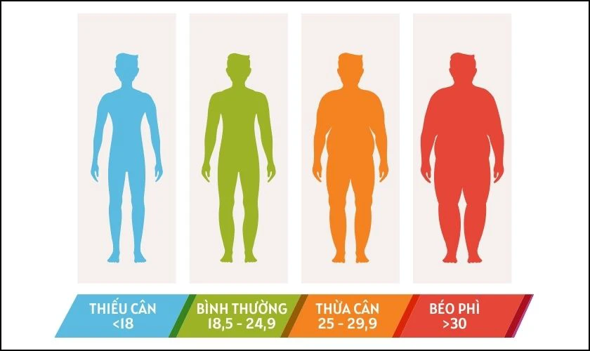 Tầm quan trọng của chỉ số BMI l&agrave; g&igrave;?