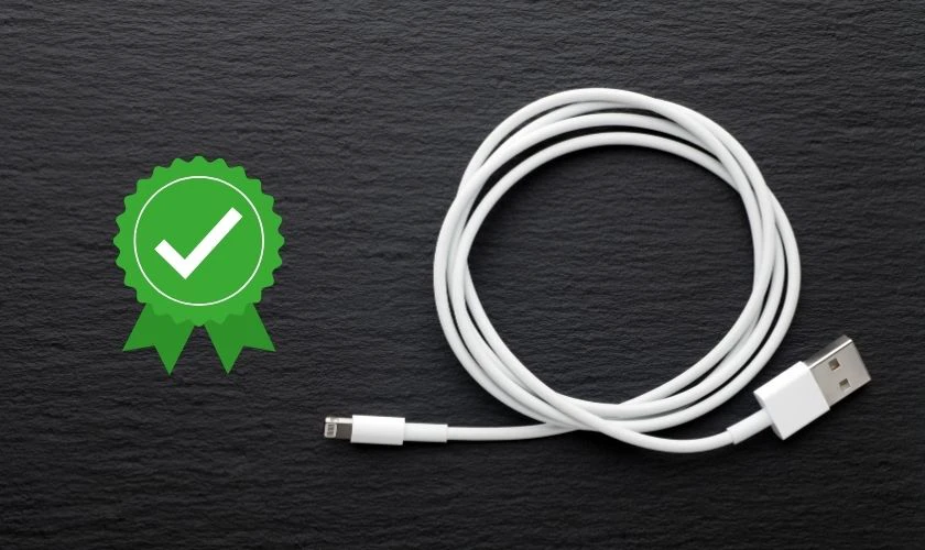 Lưu &yacute; khi lựa chọn mua sạc iPhone